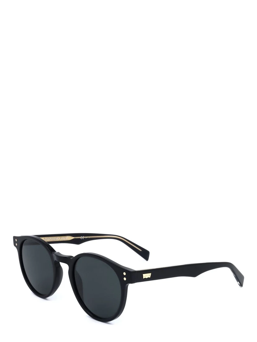 Brown Resin Sunglasses