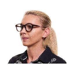 Brown Plastic Glasses (Frames)