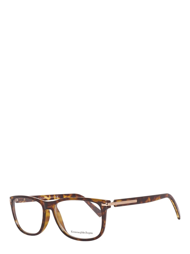 Brown Plastic Glasses (Frames)