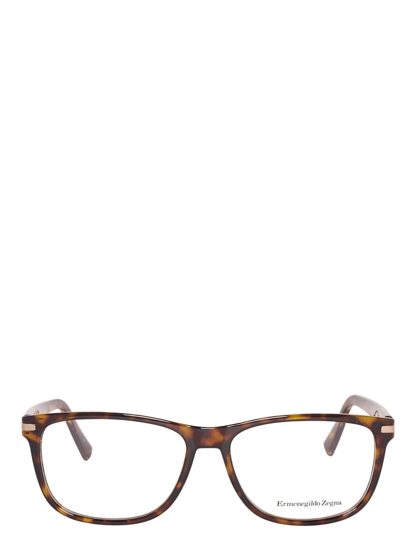 Brown Plastic Glasses (Frames)