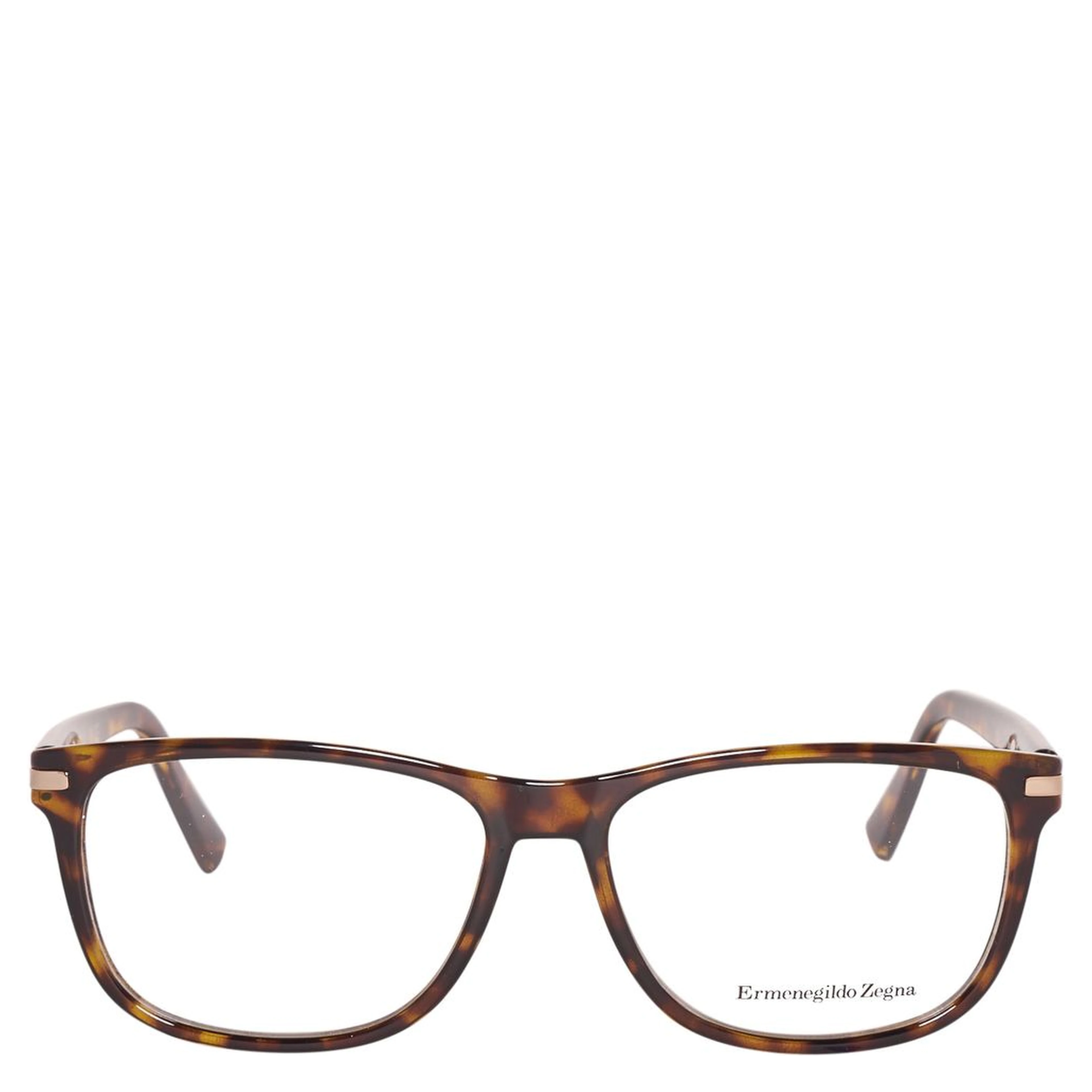 Brown Plastic Glasses (Frames)