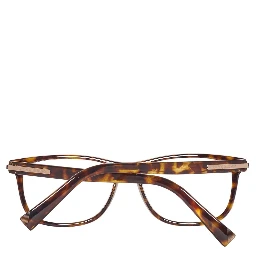 Brown Plastic Glasses (Frames)