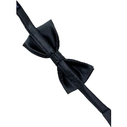 Gray Silk Bowtie