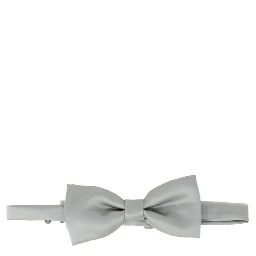 Gray Silk Bowtie