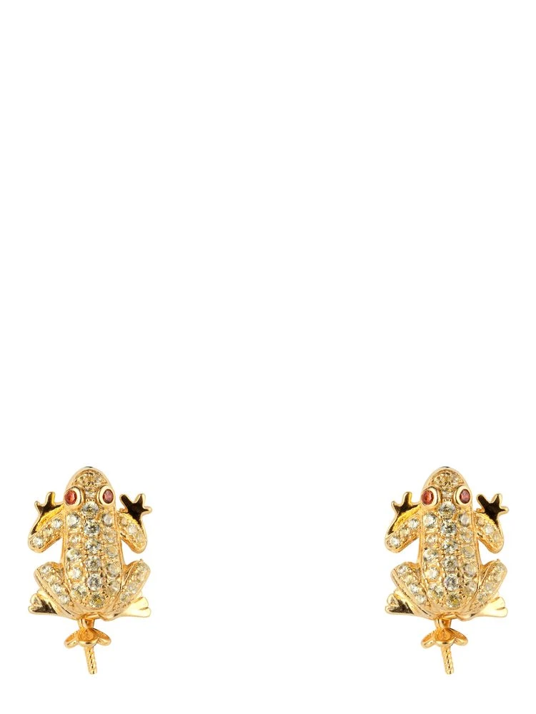 Gold Silver Earrings