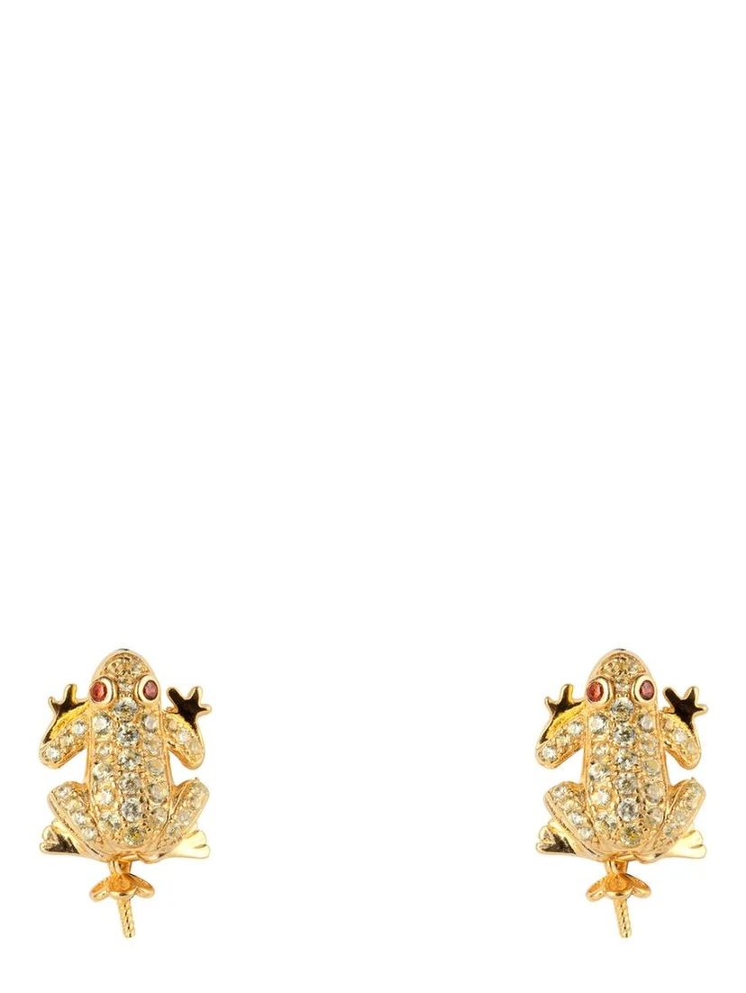 Gold Silver Earrings