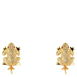 Gold Silver Earrings