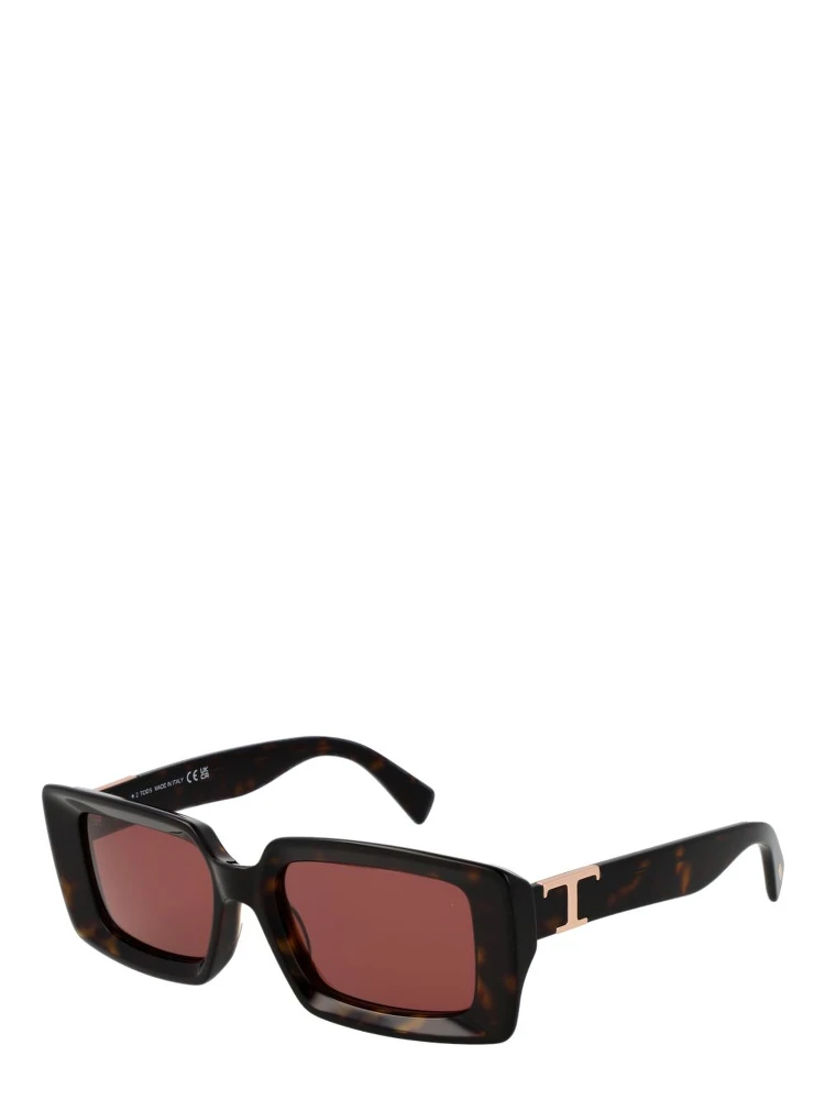 Brown Acetate Sunglasses