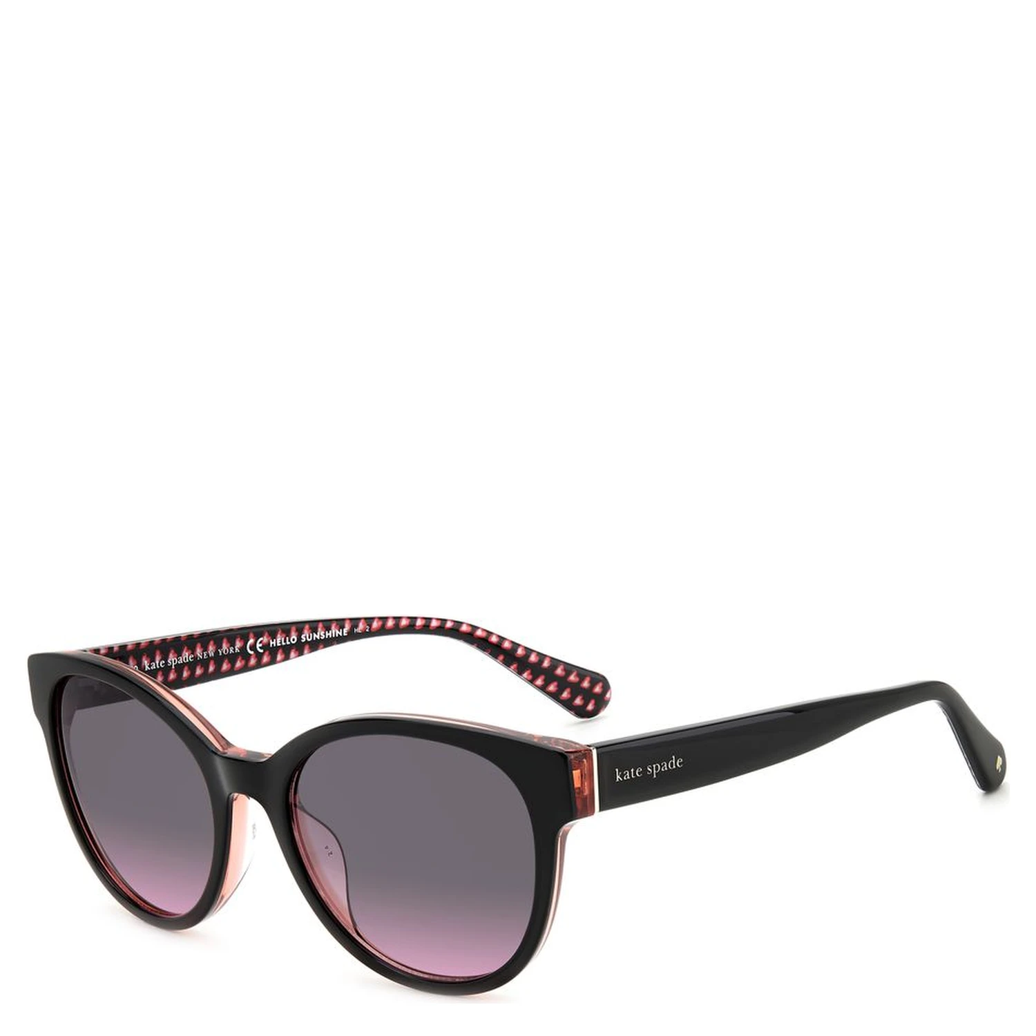 Black Acetate Sunglasses