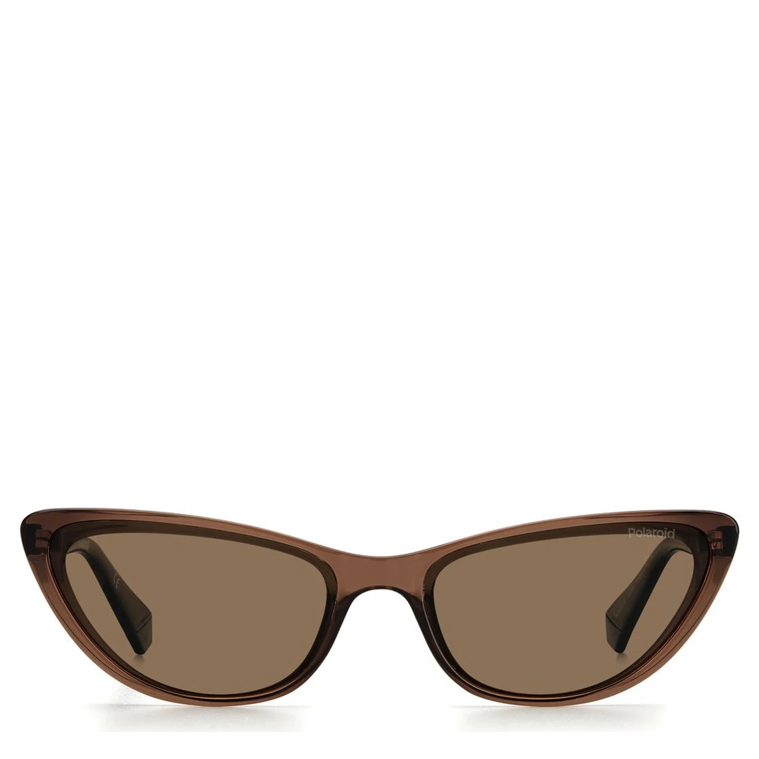 Brown Plastic Sunglasses