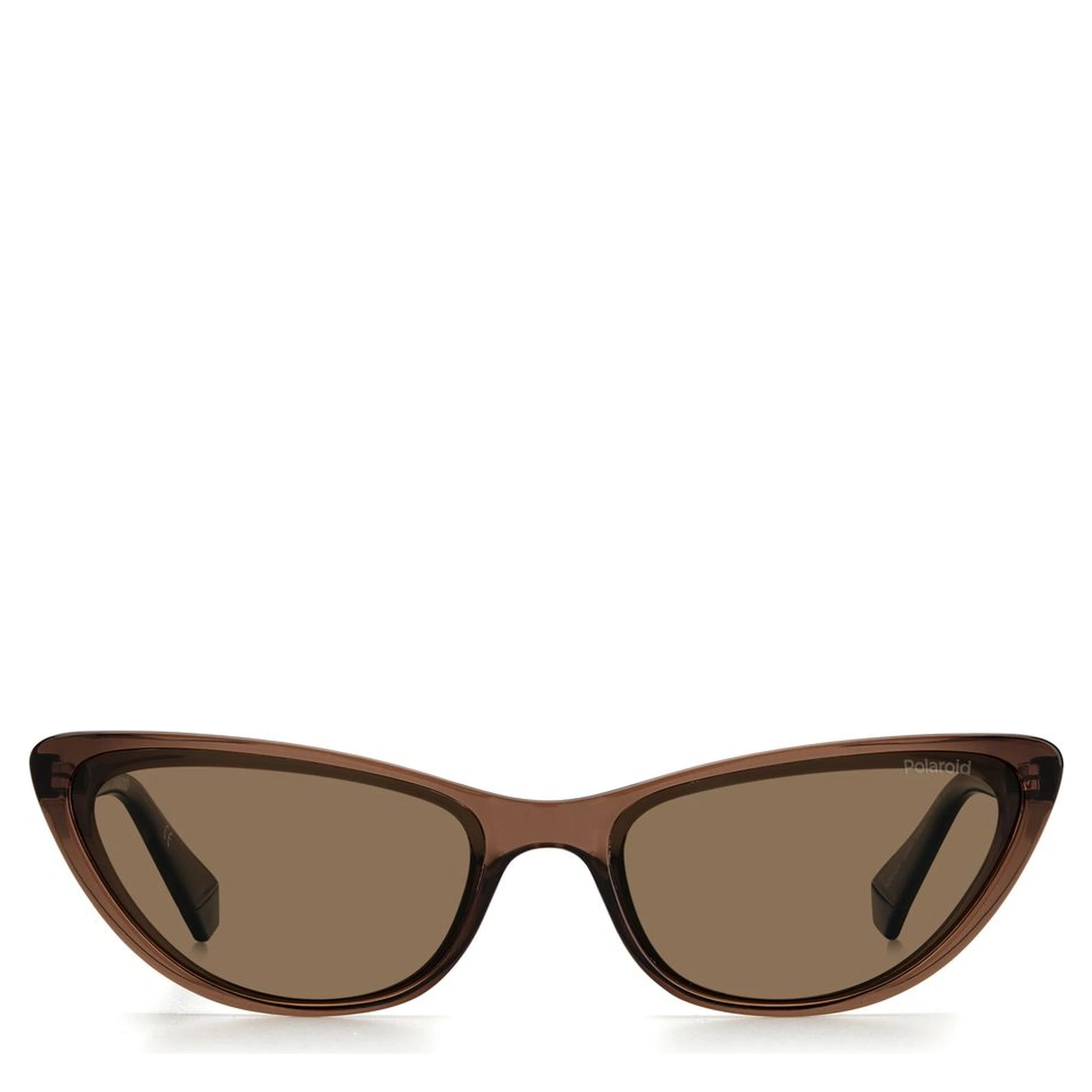 Brown Plastic Sunglasses