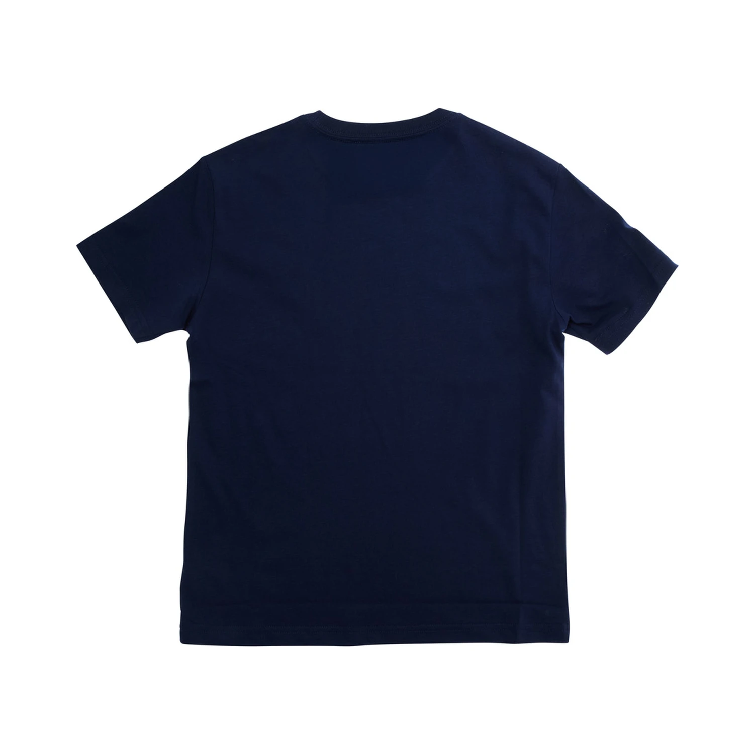 Blue Crewneck T-Shirt with Pony Embroidery on the Front in Cotton Boy