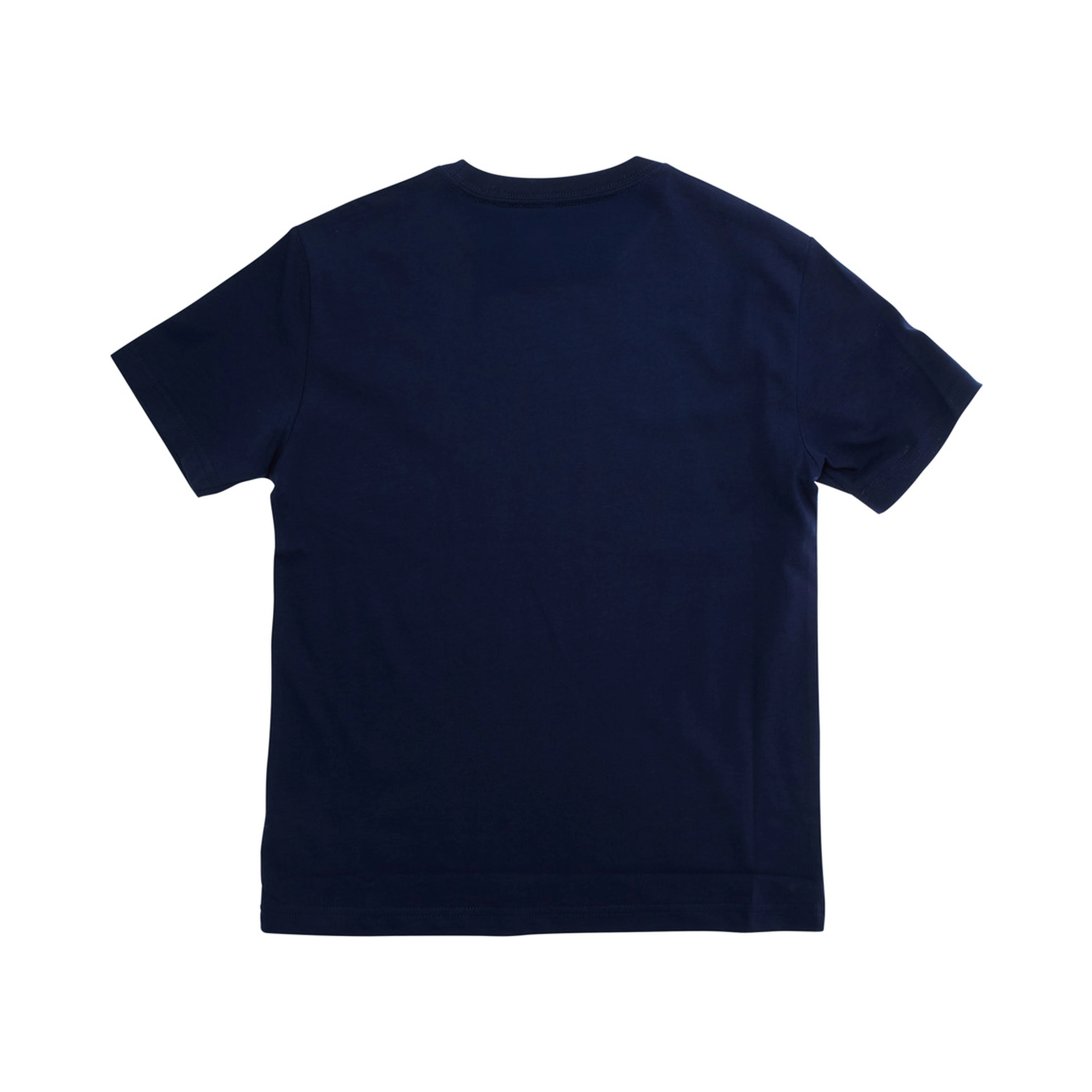 Blue Crewneck T-Shirt with Pony Embroidery on the Front in Cotton Boy