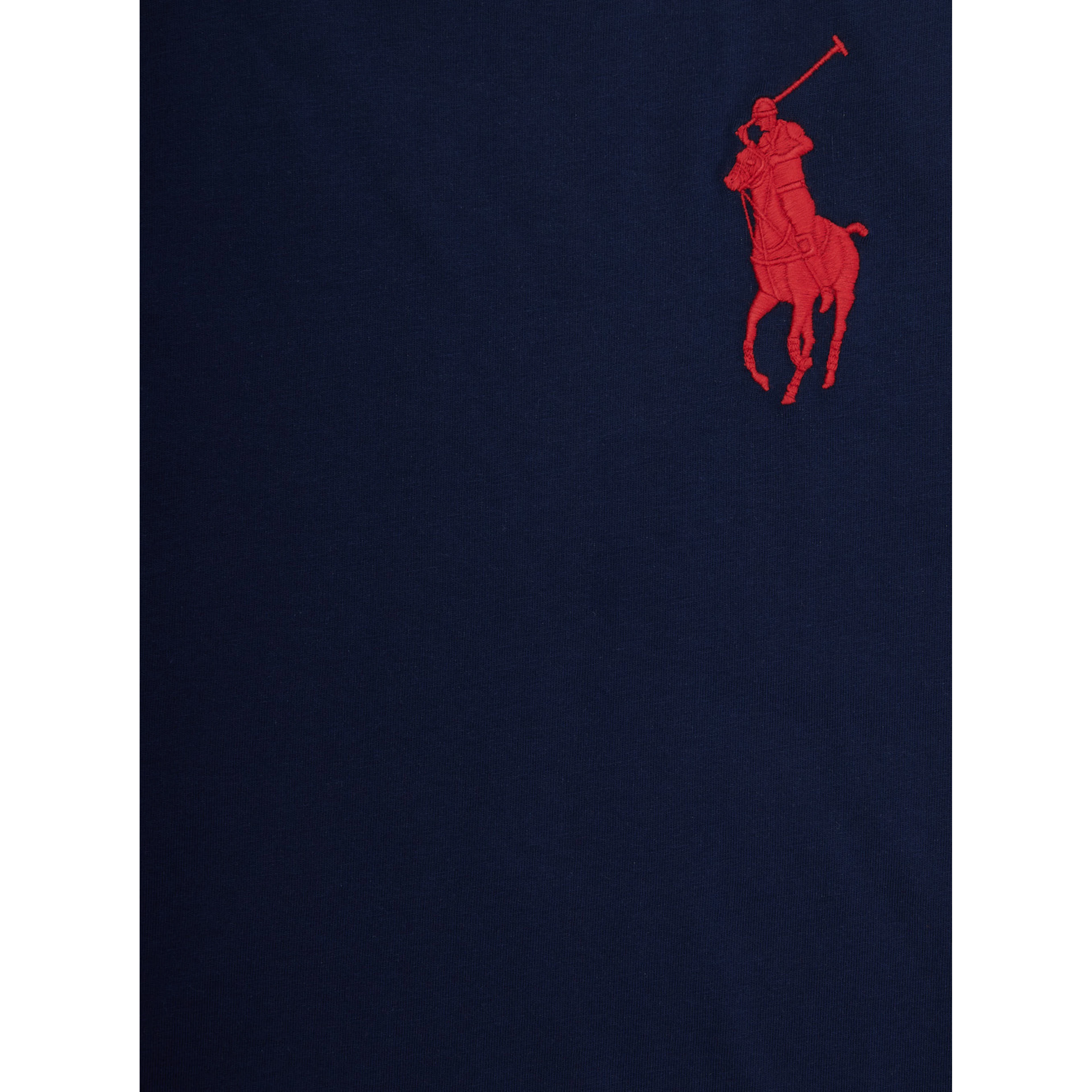 Blue Crewneck T-Shirt with Pony Embroidery on the Front in Cotton Boy