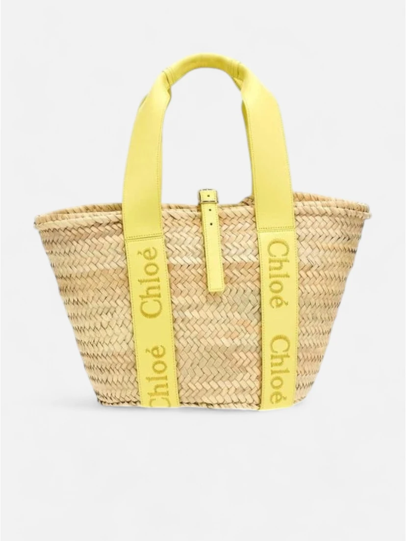 CHLOÉ SENSE bag