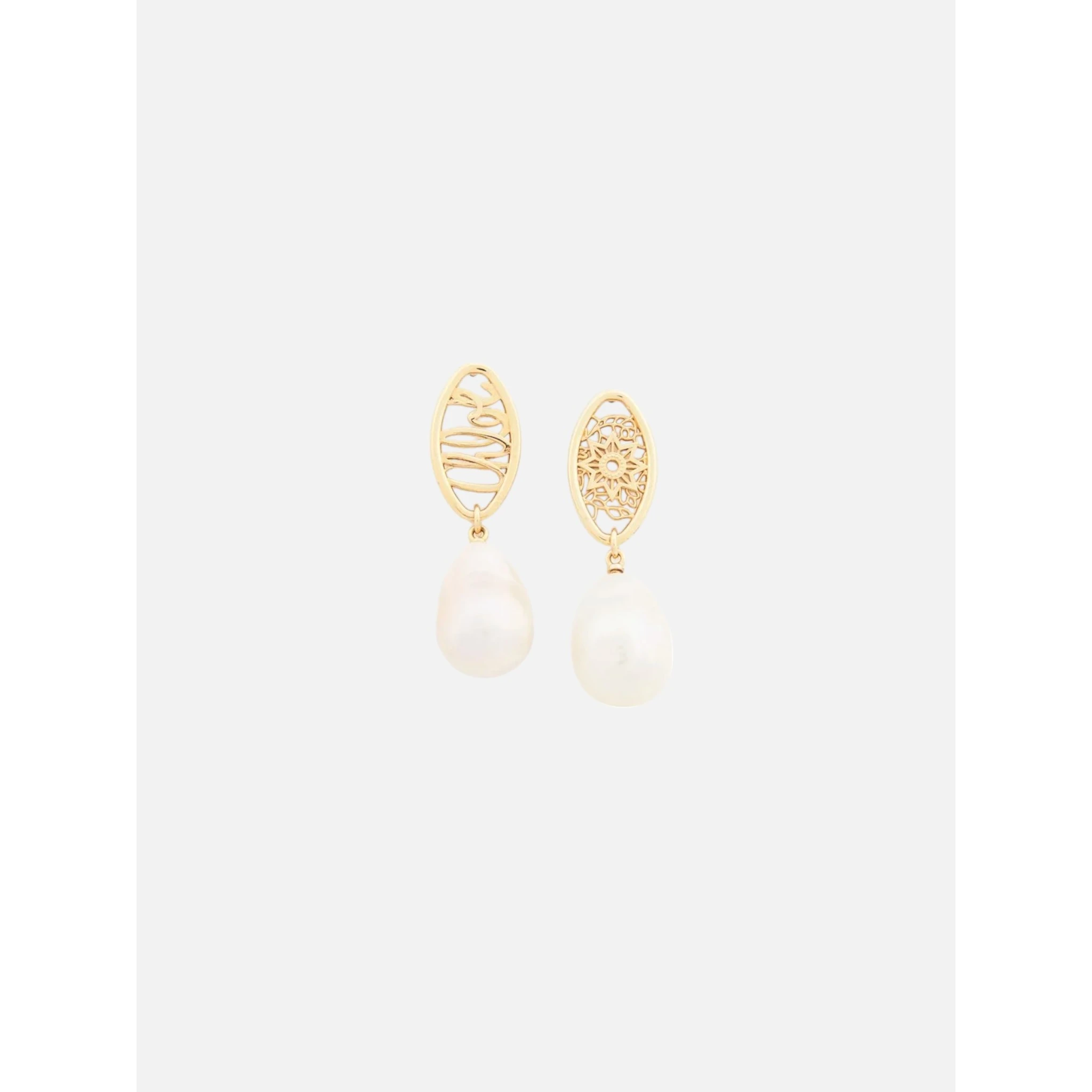 CHLOÉ DARCEY earrings