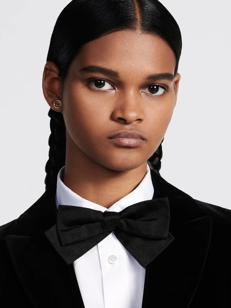 DIOR butterfly bow alternative