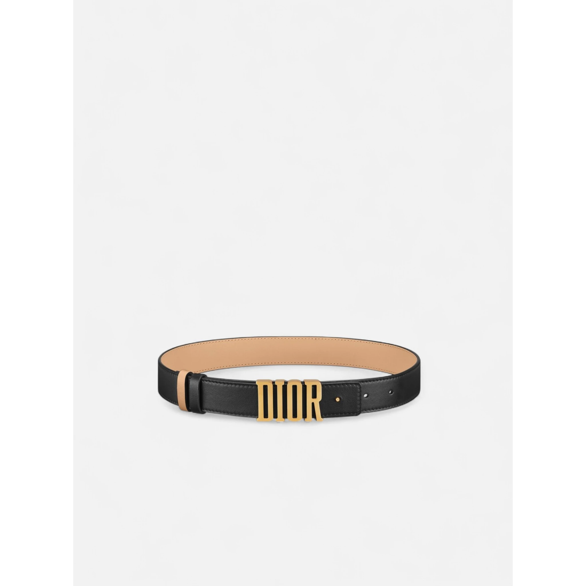 DIOR D FENCE belt