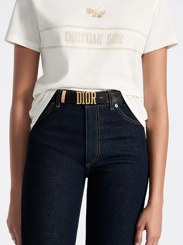 DIOR D FENCE belt alternative