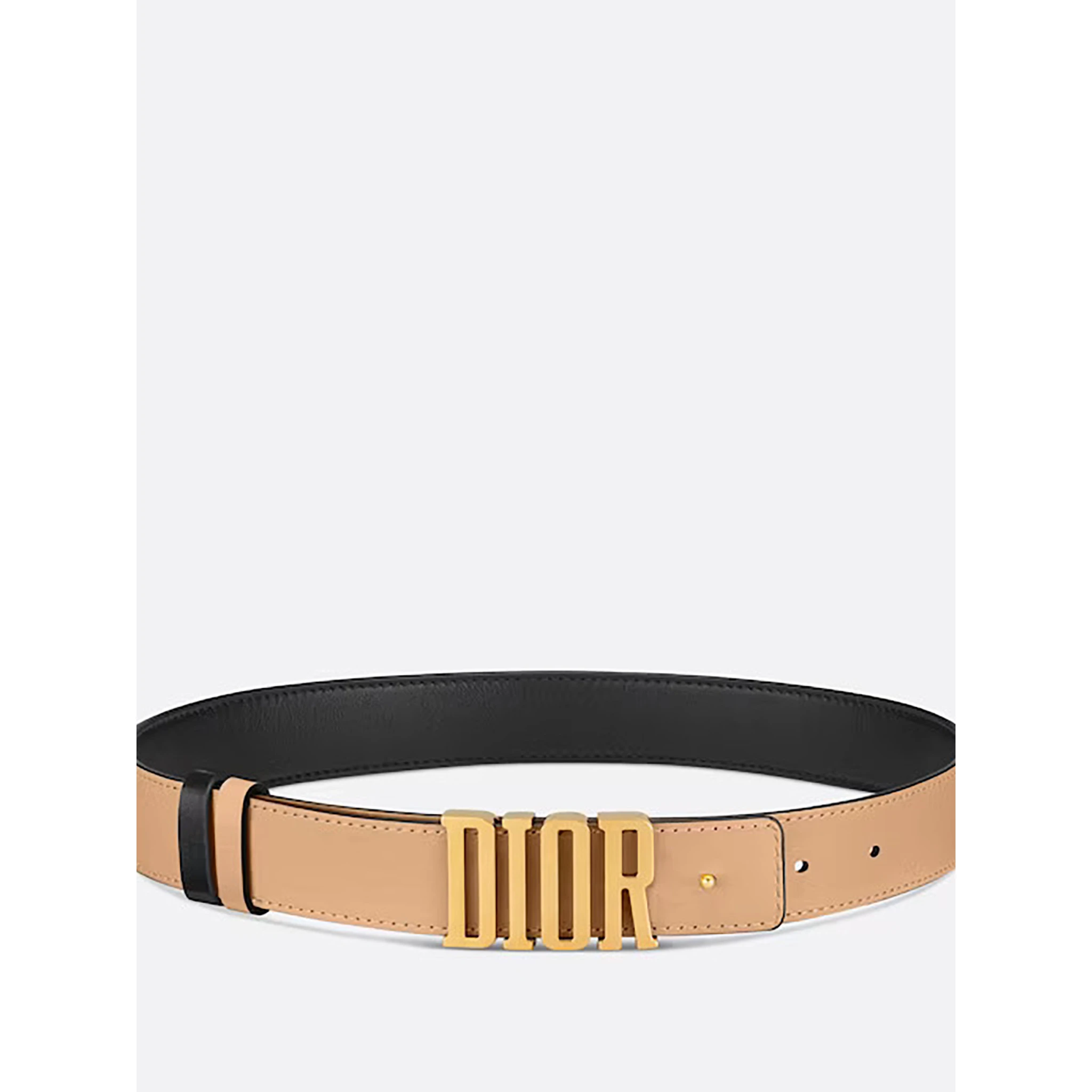 DIOR D FENCE belt