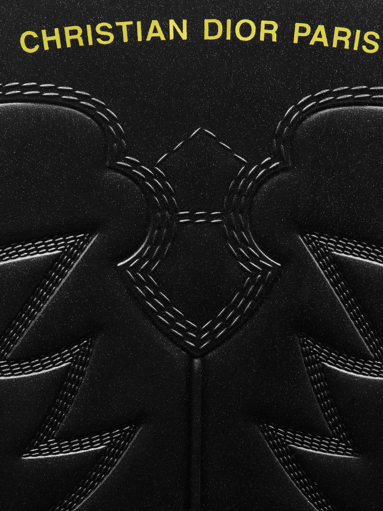 DIOR WIND boots alternative