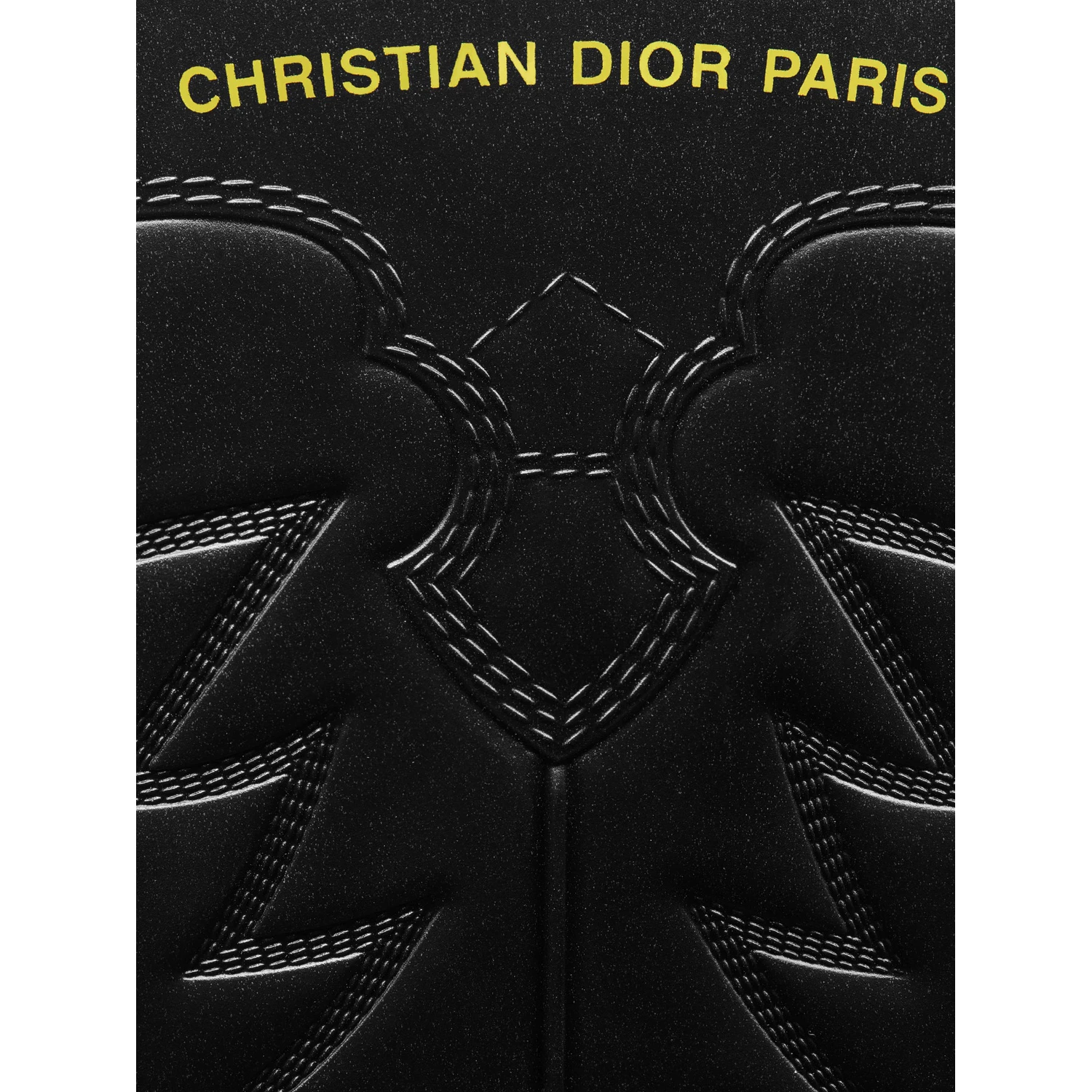 DIOR WIND boots
