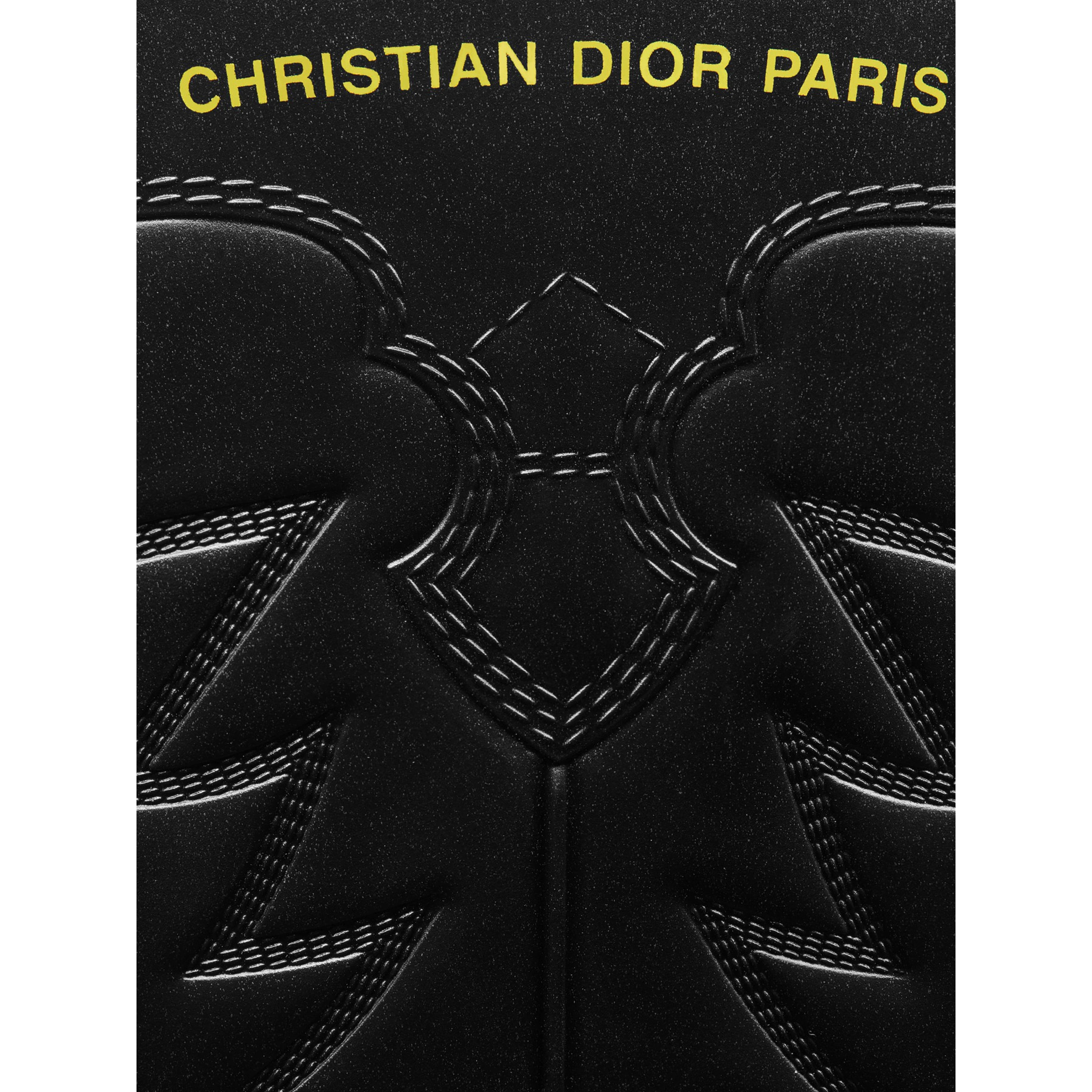 DIOR WIND boots