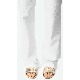 جينز زاديغ أند فولتير إليو