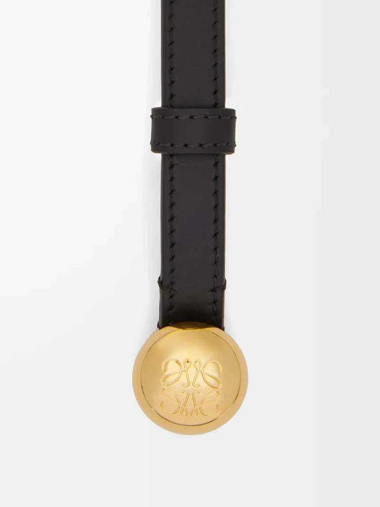 LOEWE belt alternative