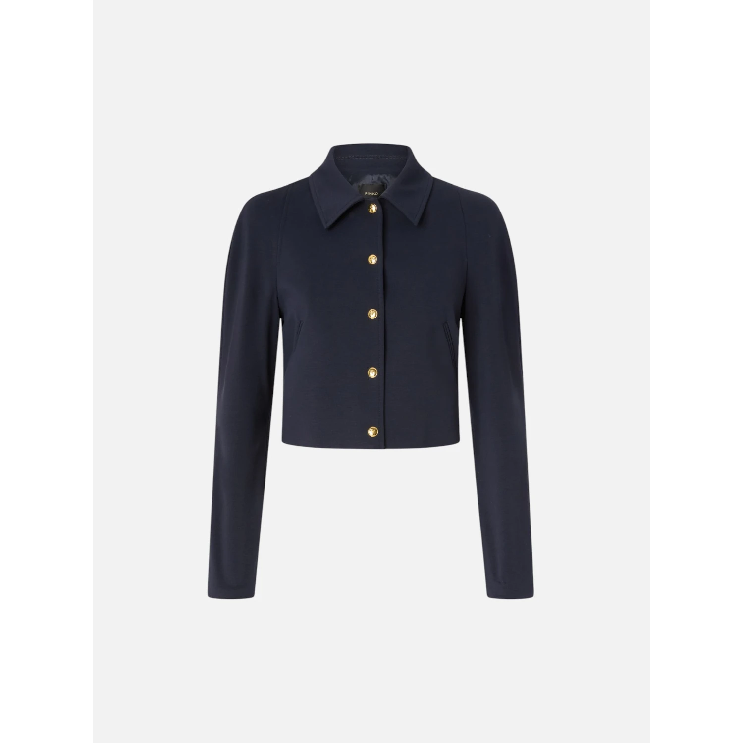 PINKO GUAZZETTO blazer