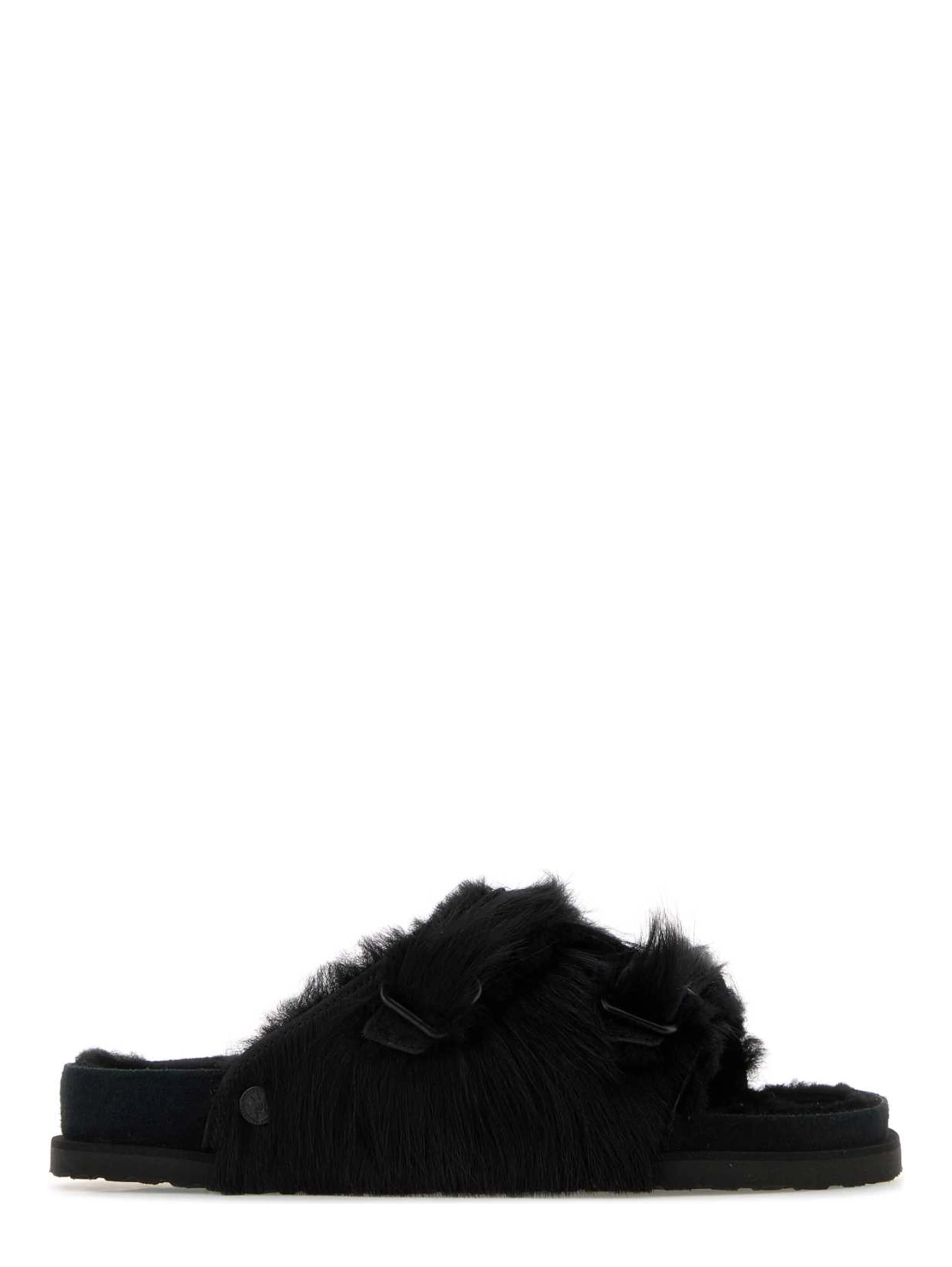 ZÜRICH PONY SHEARLING 1774