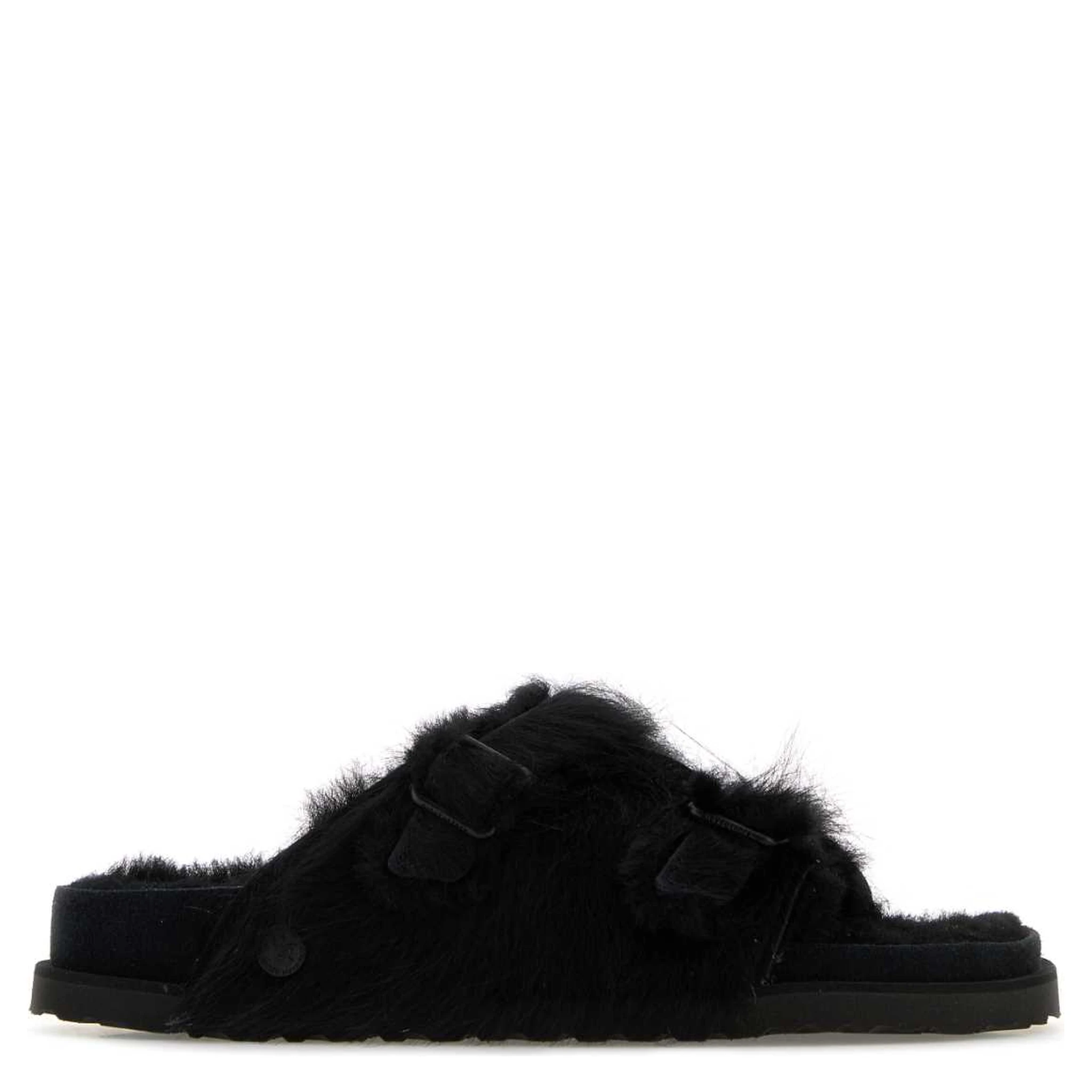 خروف زيورخ الصغير 1774