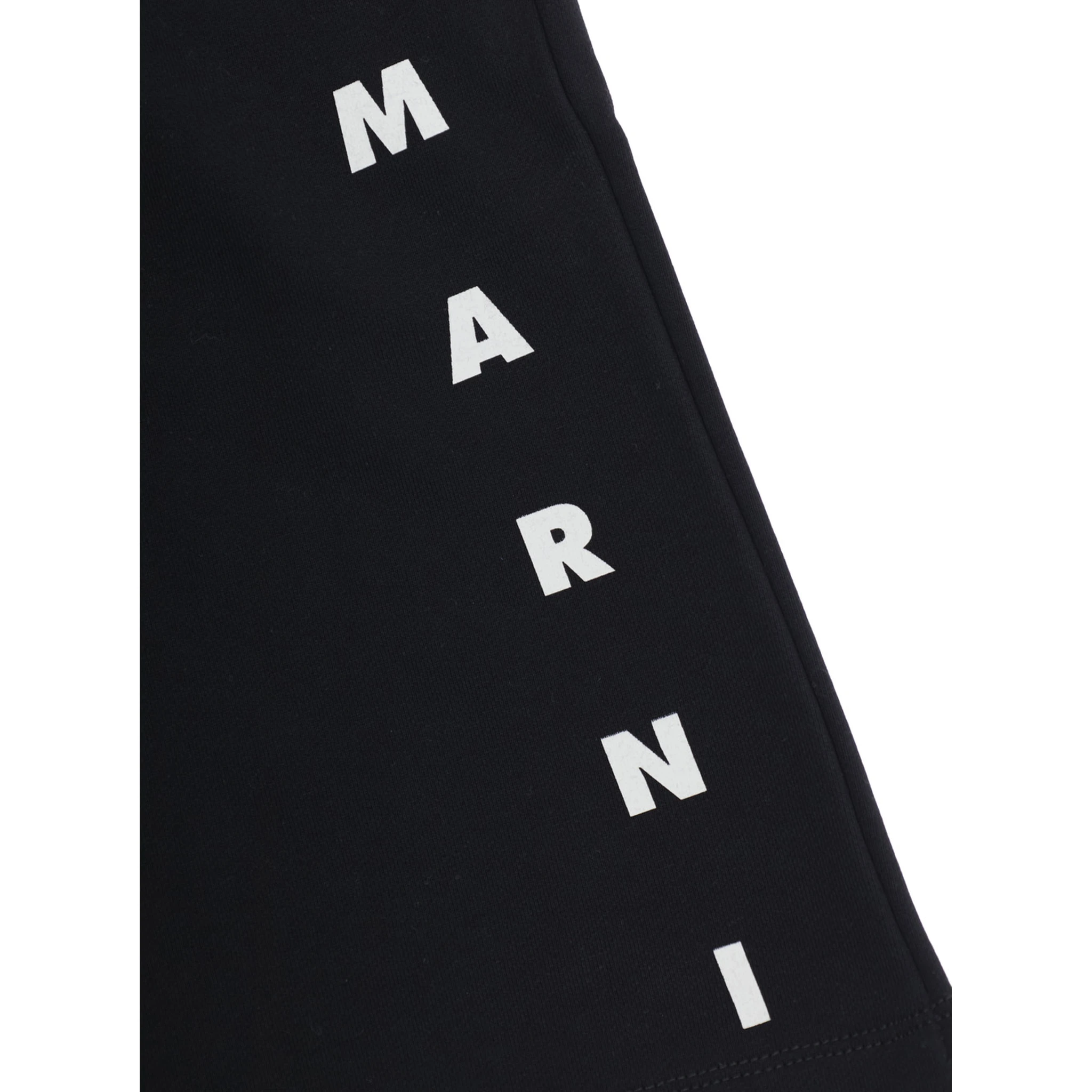 Black Shorts with Elastic Waist and Logo Lettering on the Front in Cotton Boy