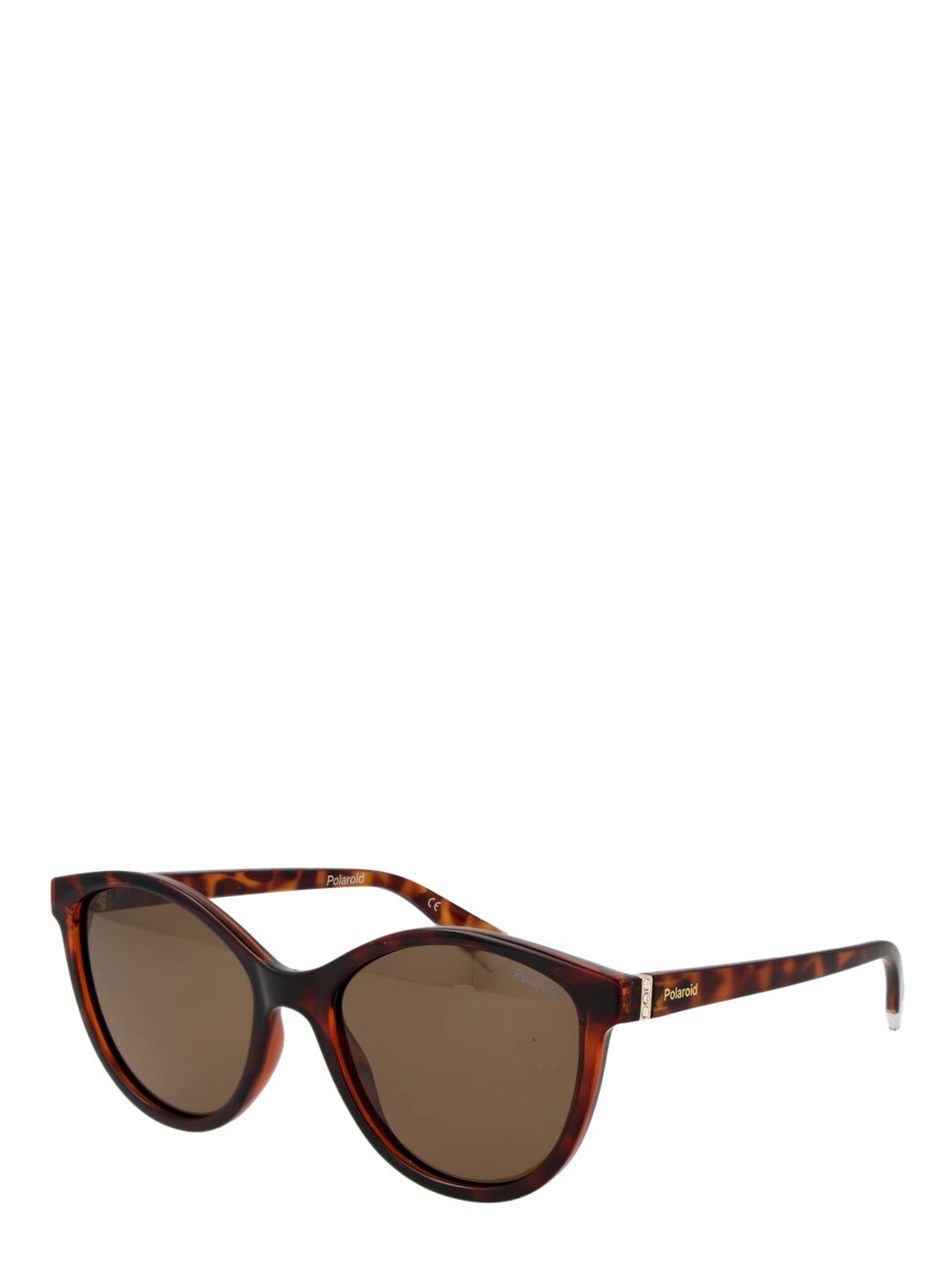 Brown Plastic Sunglasses