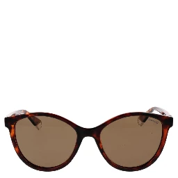 Brown Plastic Sunglasses