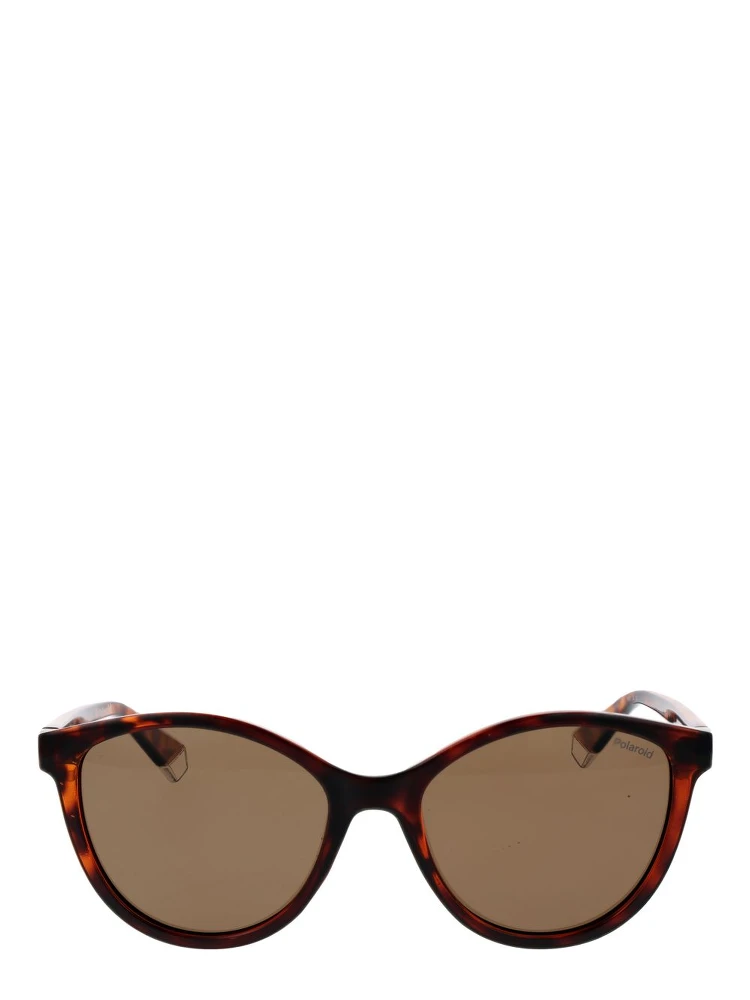 Brown Plastic Sunglasses alternative