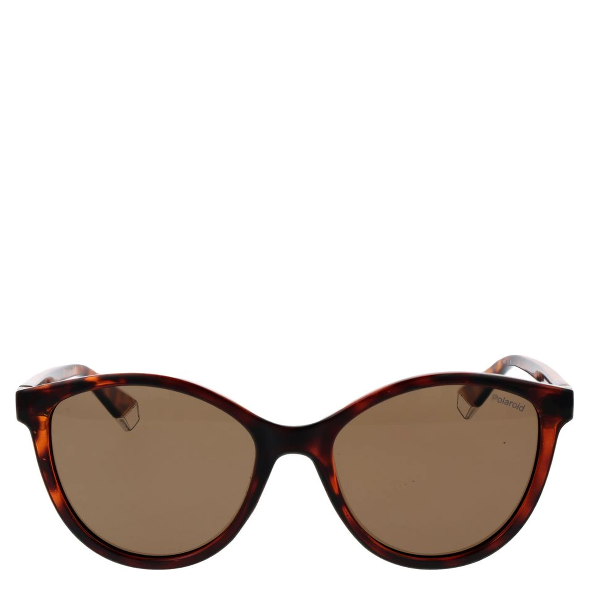 Brown Plastic Sunglasses