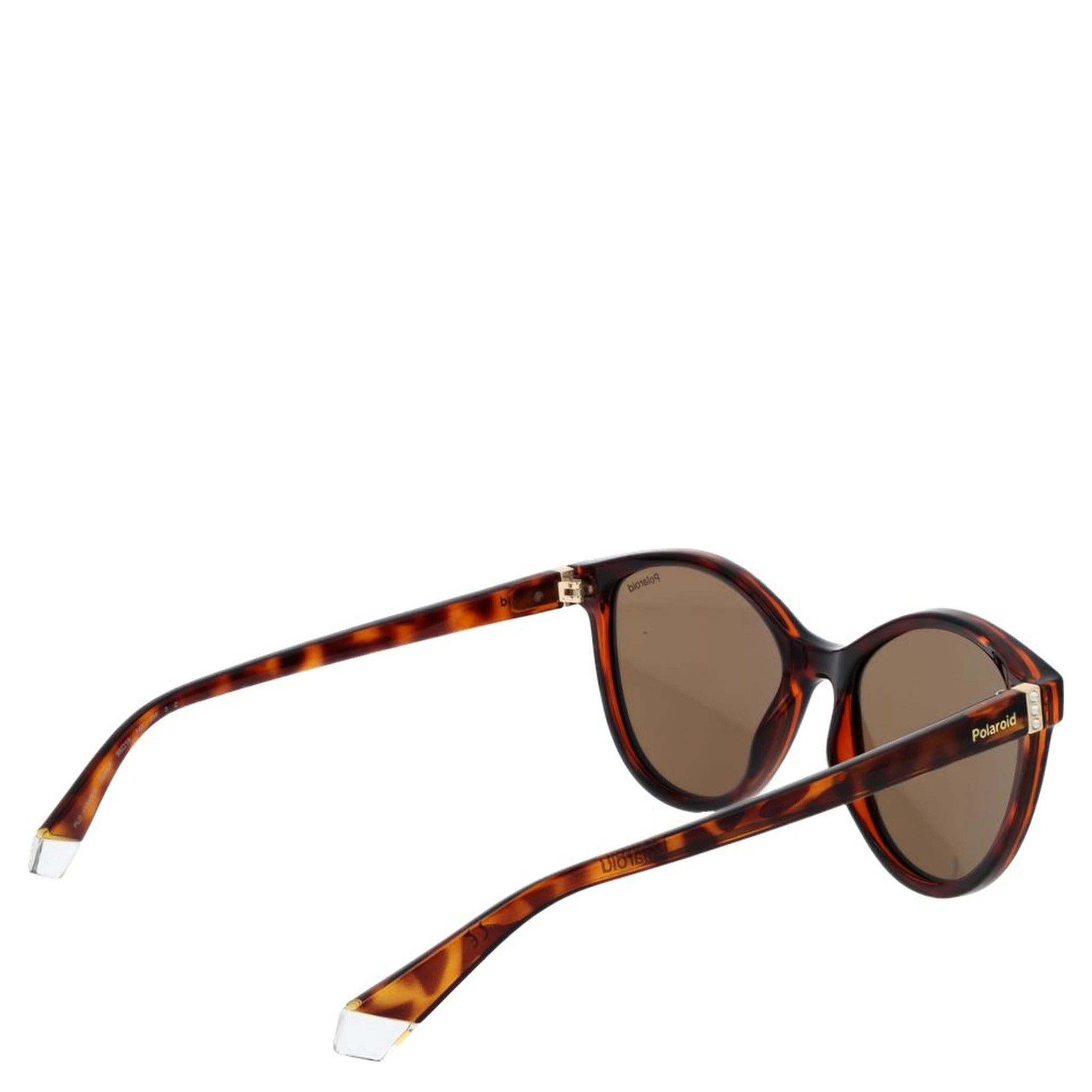 Brown Plastic Sunglasses