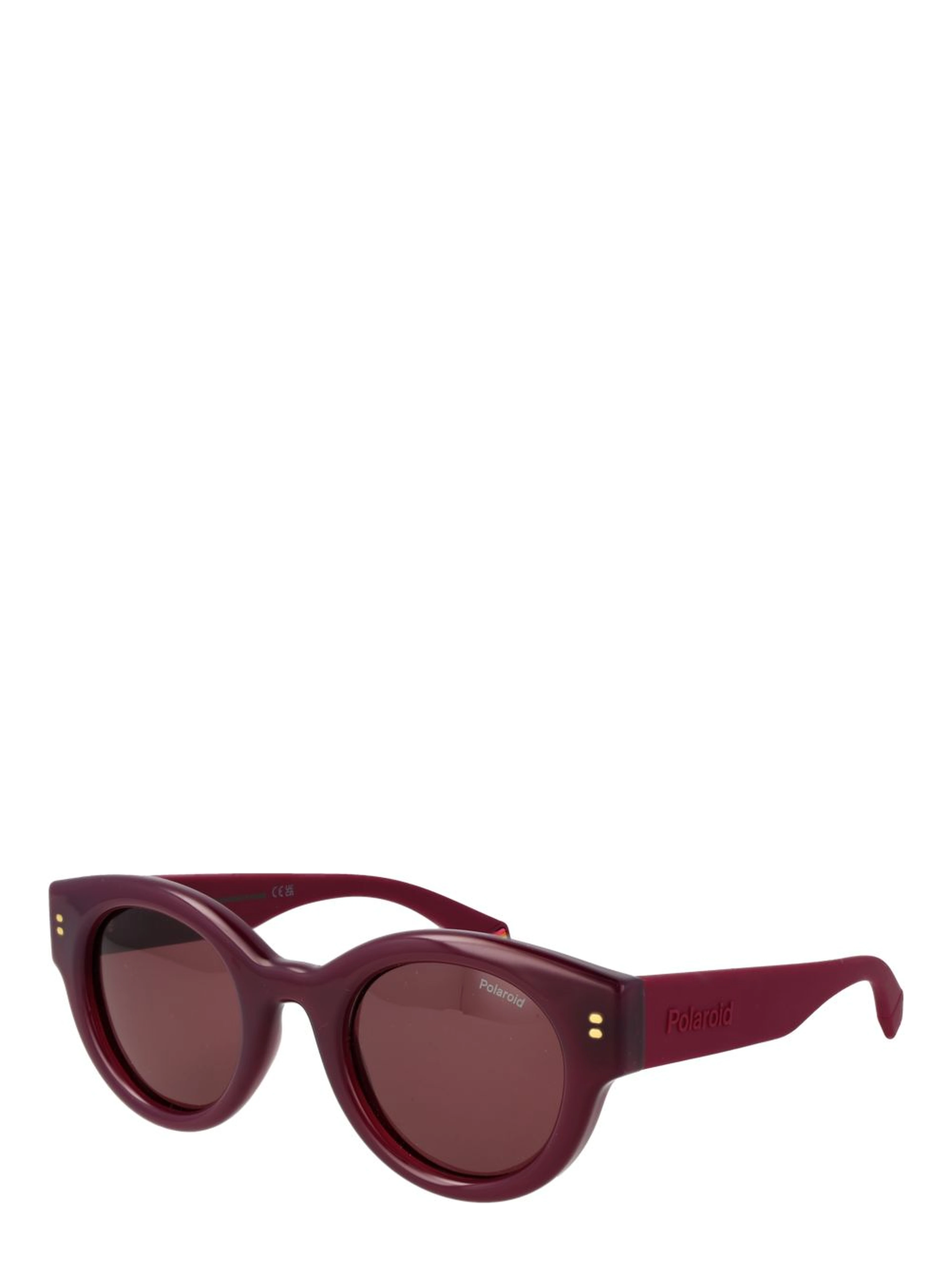 Purple Plastic Sunglasses
