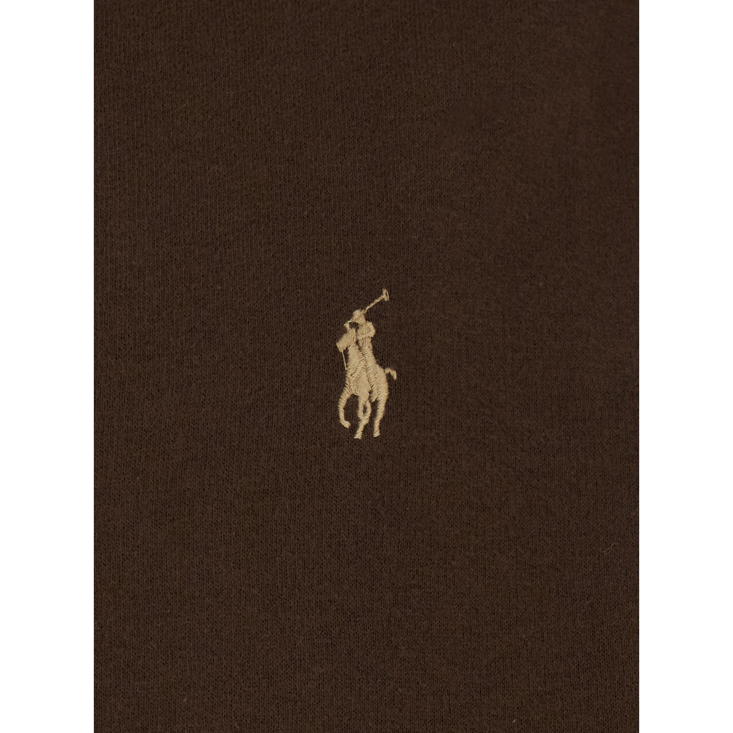 Brown Sweatshirt with Drawstring Hood and Pony Embroidery on the Front in Cotton Blend Man