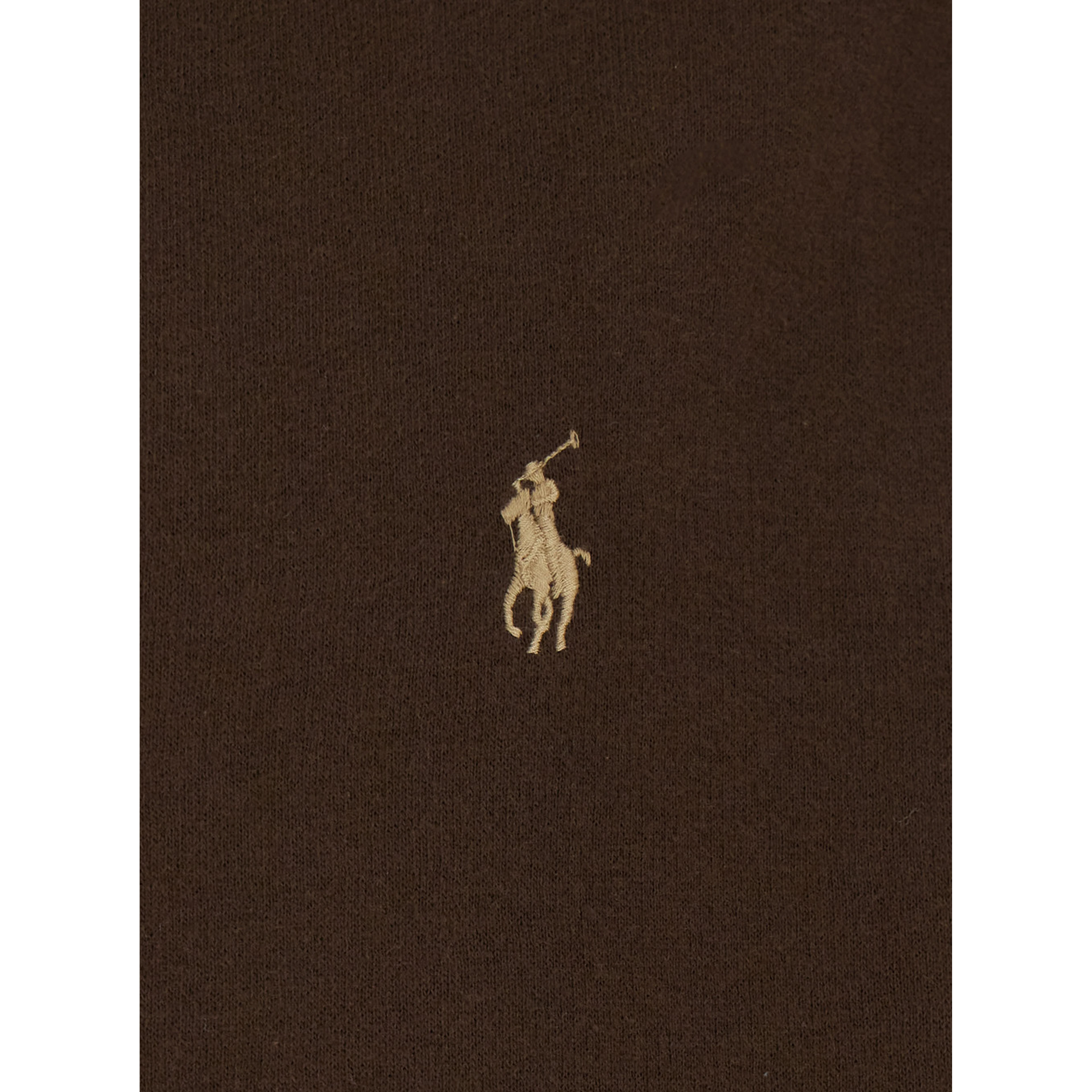 Brown Sweatshirt with Drawstring Hood and Pony Embroidery on the Front in Cotton Blend Man