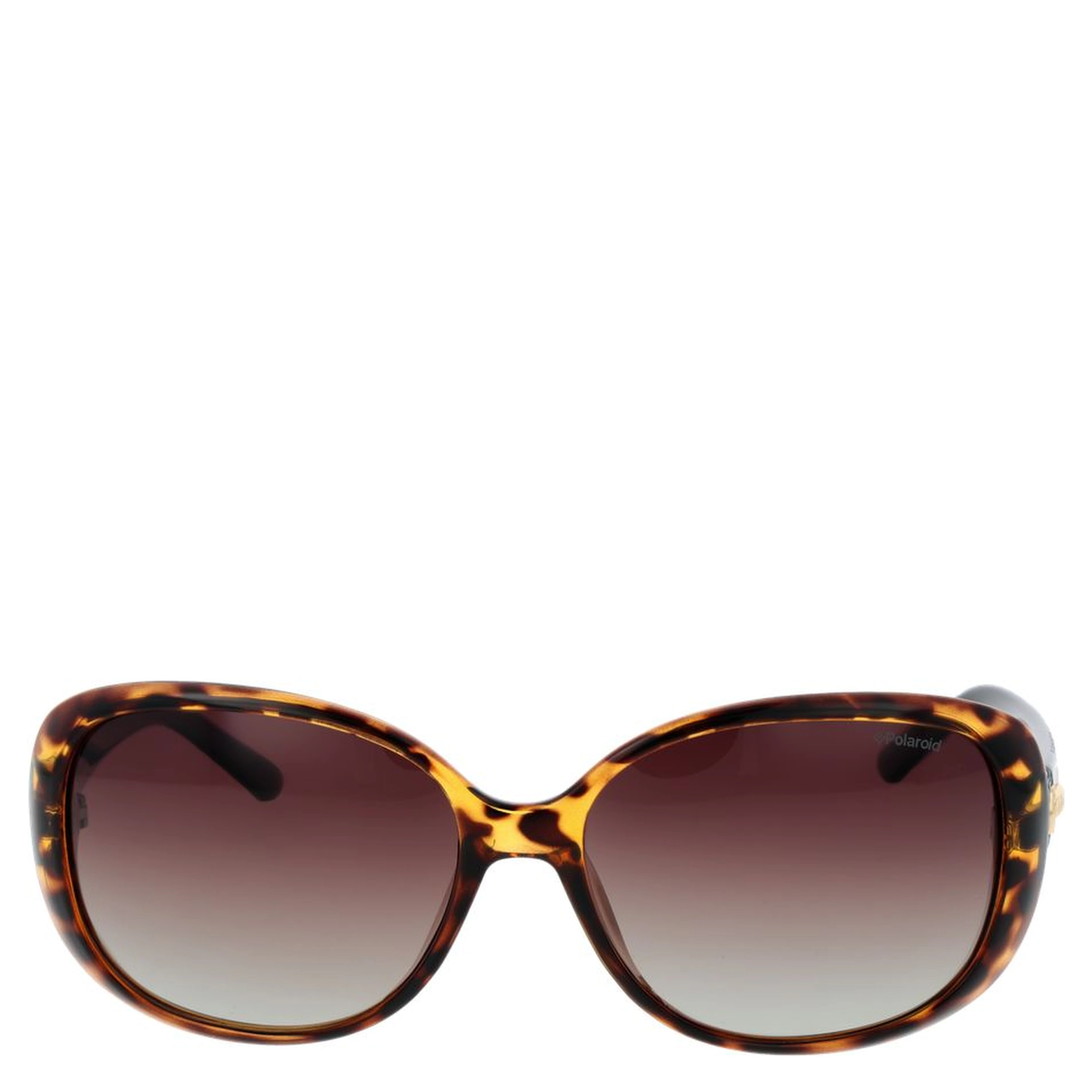 Brown Plastic Sunglasses