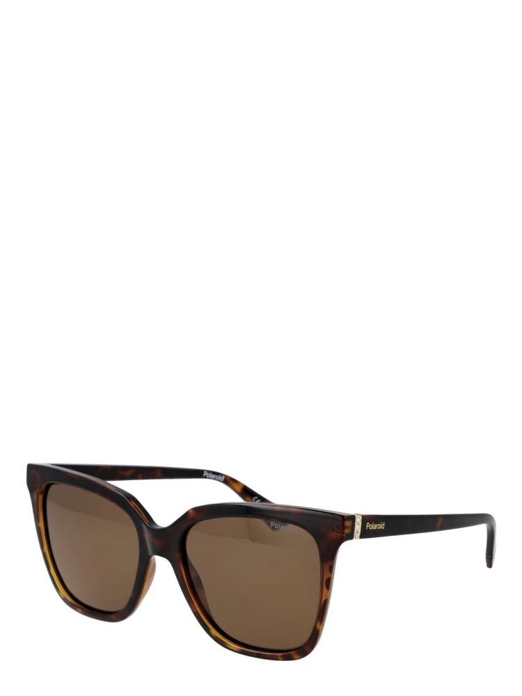 Brown Polycarbonate Sunglasses