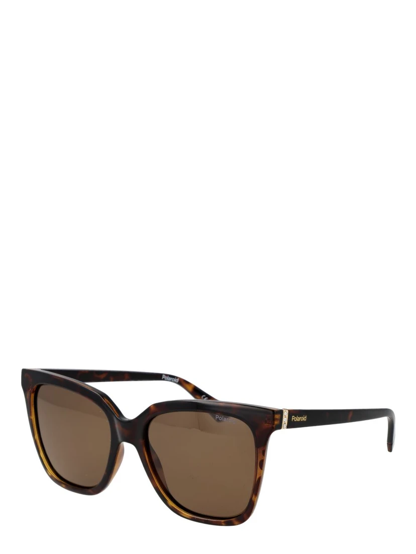 Brown Polycarbonate Sunglasses