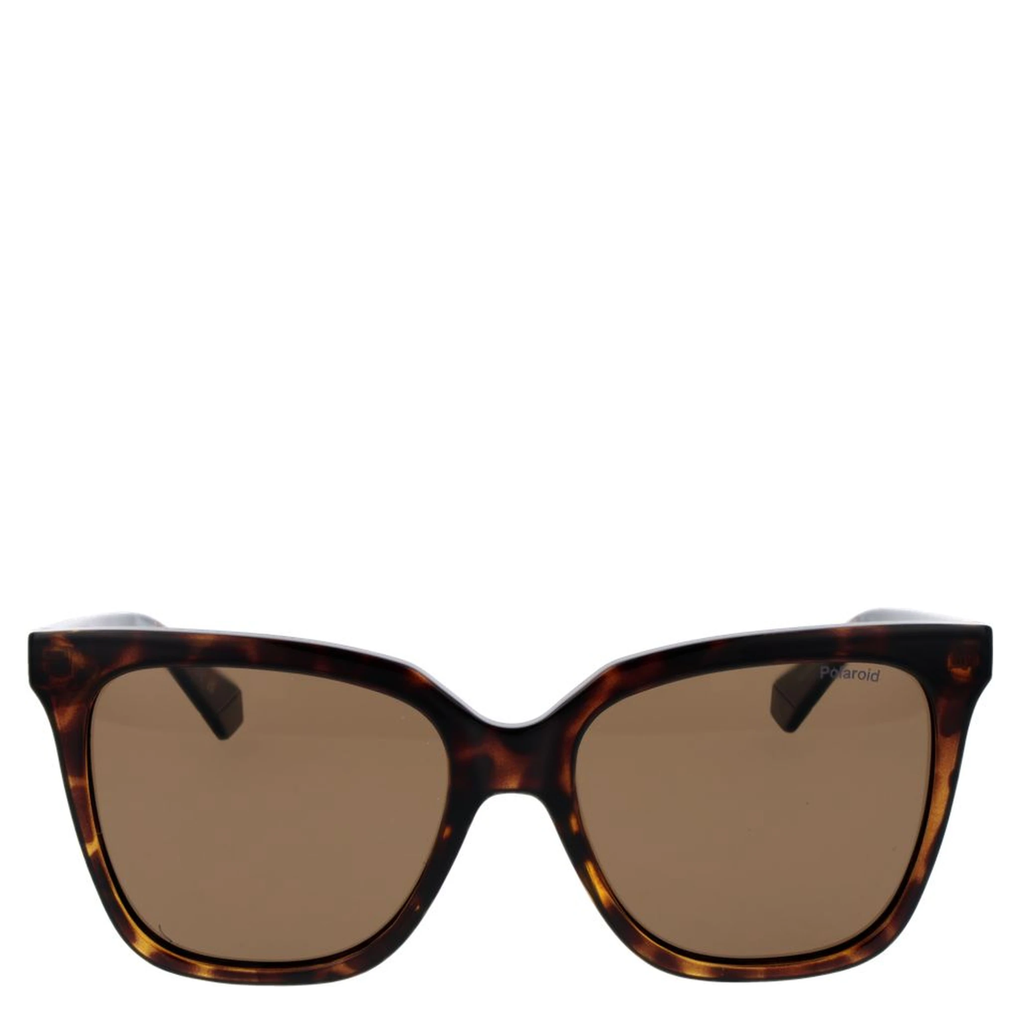 Brown Polycarbonate Sunglasses