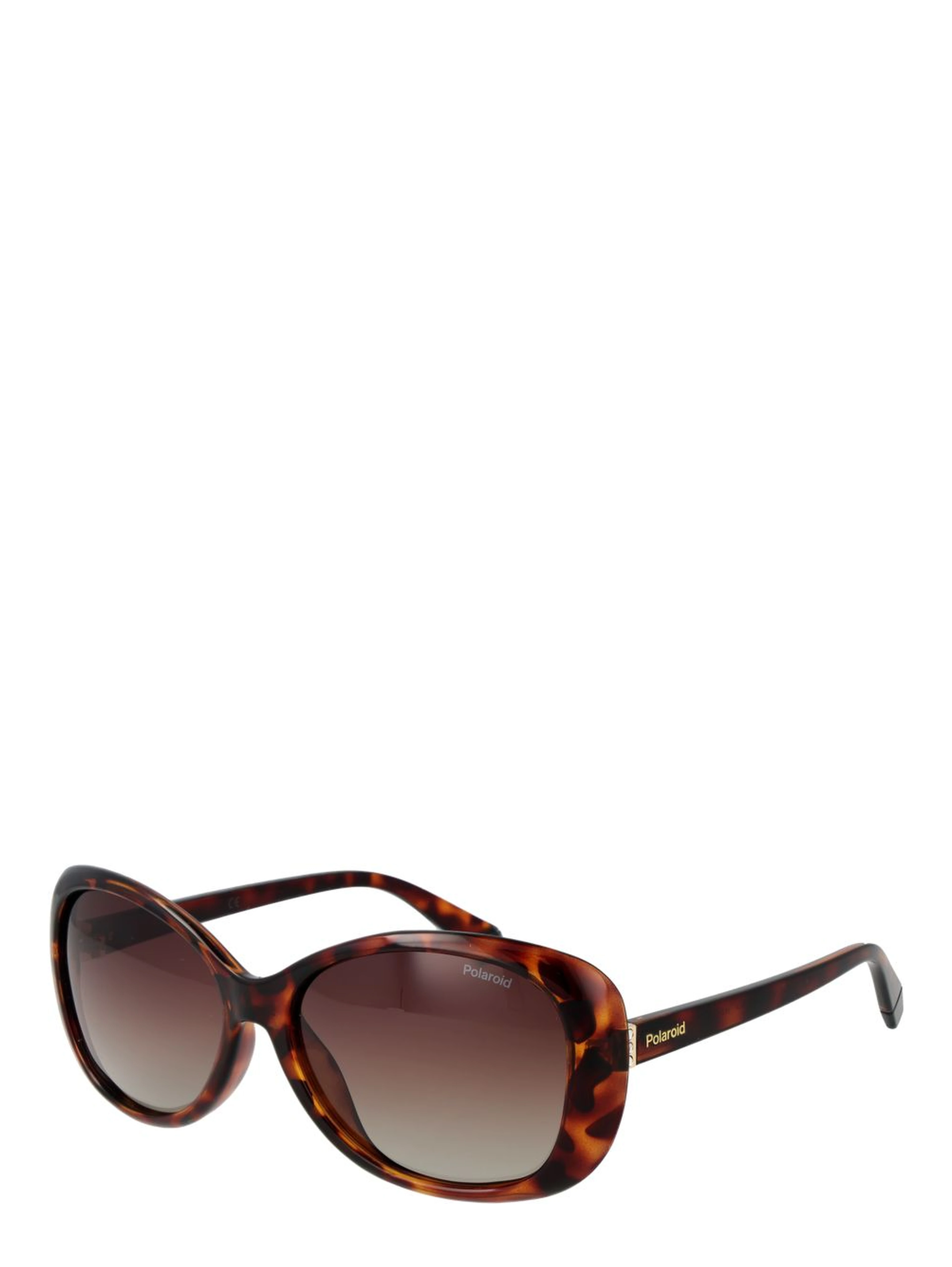 Brown Plastic Sunglasses