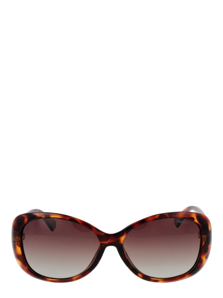 Brown Plastic Sunglasses alternative