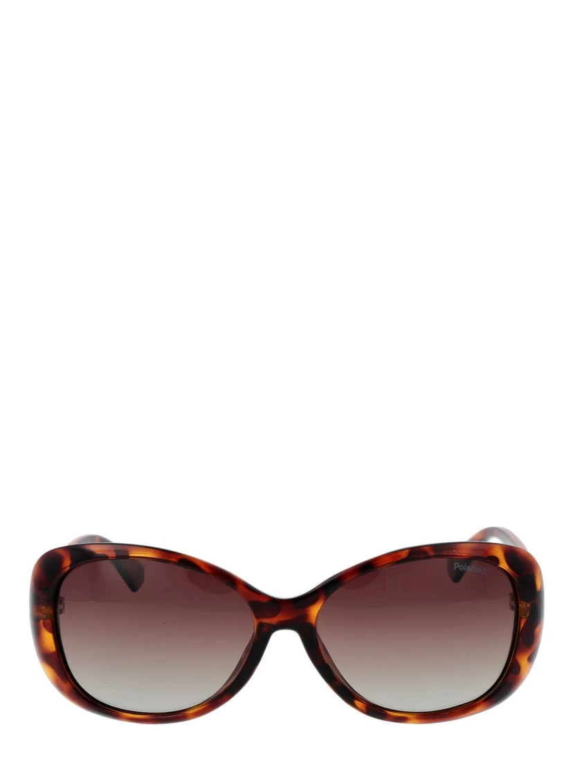 Brown Plastic Sunglasses