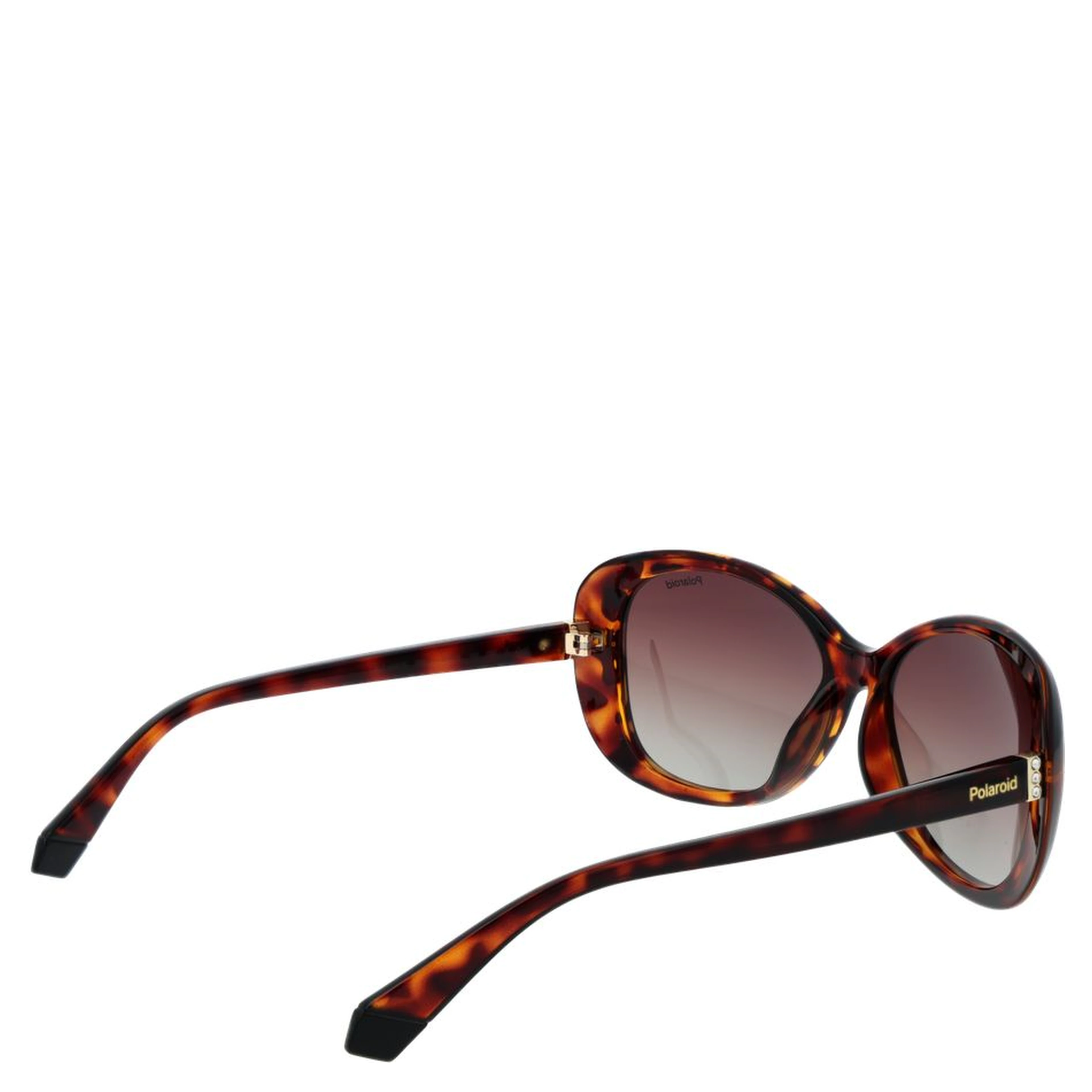 Brown Plastic Sunglasses
