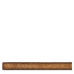 أحزمة غوتشي